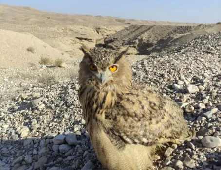 امضای تفاهم نامه برای ممانعت از آلودگی خاک در سمنان