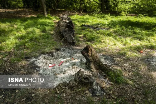 هیرکانی در اضطراب آتش بی توجهی می سوزد