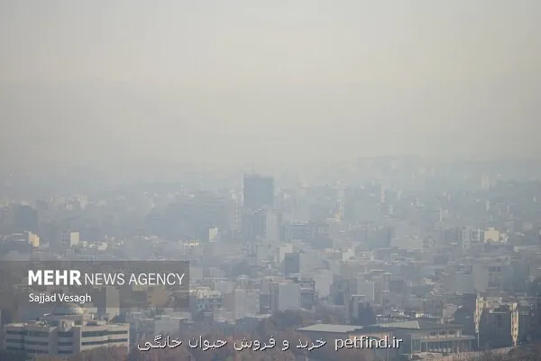 رد پیشنهاد تعطیلی مدارس تهران از طرف آموزش وپرورش