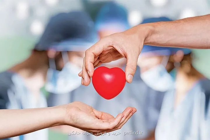 باشگاه فوتبال بانوان پرسپولیس حامی رسمی اهدای عضو شد