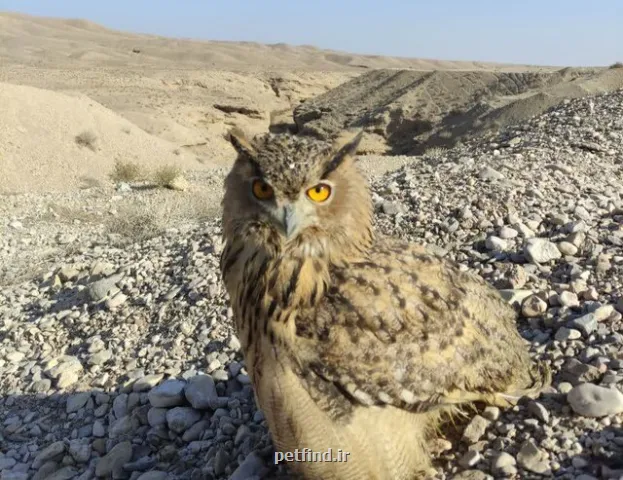 امضای تفاهم نامه برای ممانعت از آلودگی خاک در سمنان