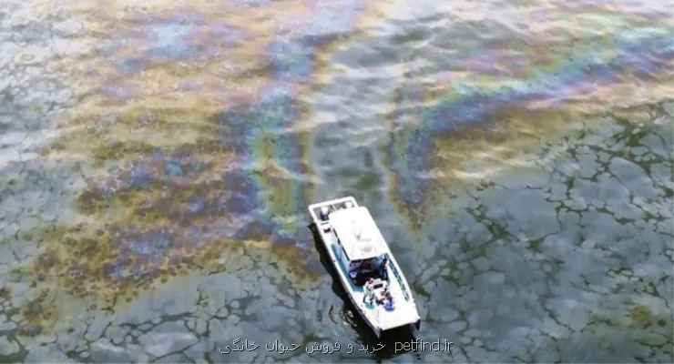 نشت بالاتر از 200 لیتر نفت خام به آب های سریلانکا