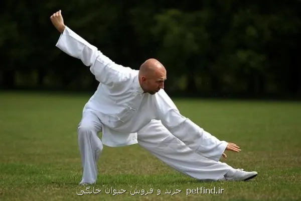 تای چی در پایین آوردن بی خوابی همانند گفتاردرمانی موثر است