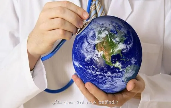 از بهبود بیخوابی با تای چی تا کاهش افسردگی با دوری از شبکه های اجتماعی