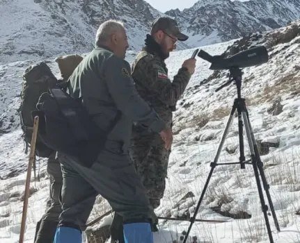 سرشماری حیات وحش در مازندران وارد فاز علمی شد