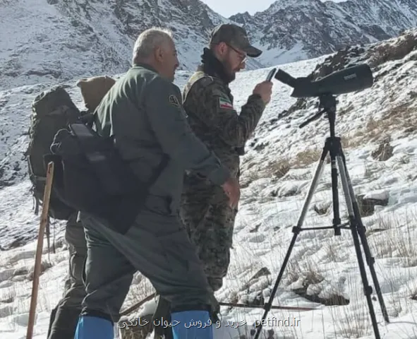 سرشماری حیات وحش در مازندران وارد فاز علمی شد