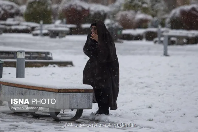 سه روز سرد و پربارش برای ایران