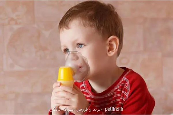 آسم در کدام خردسالان شایع تر است؟