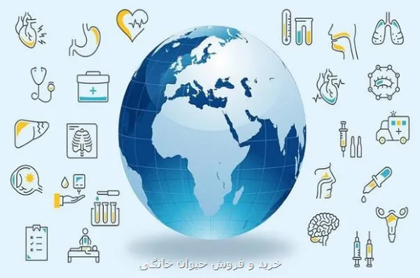 از ارتباط الکل و مبتلا شدن به سرطان تا واکسن زونا و کاهش مبتلا شدن به زوال عقل