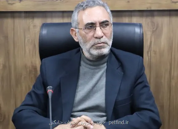 ساخت آرامستان ۱۵۰ هکتاری جدید در تهران