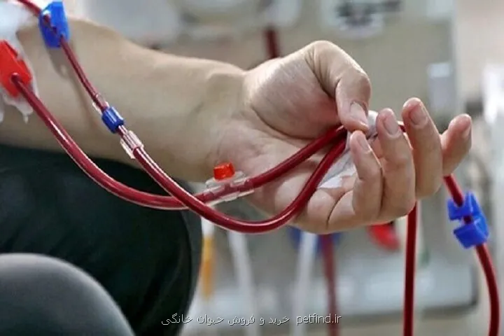 ماجرای قطع داروی زندگی بیماران خاص ردپای یک سازمان بیمه گر