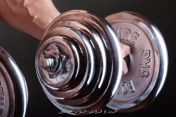 قدرت عضلانی، طول عمر زنان مسن را پیشبینی می کند