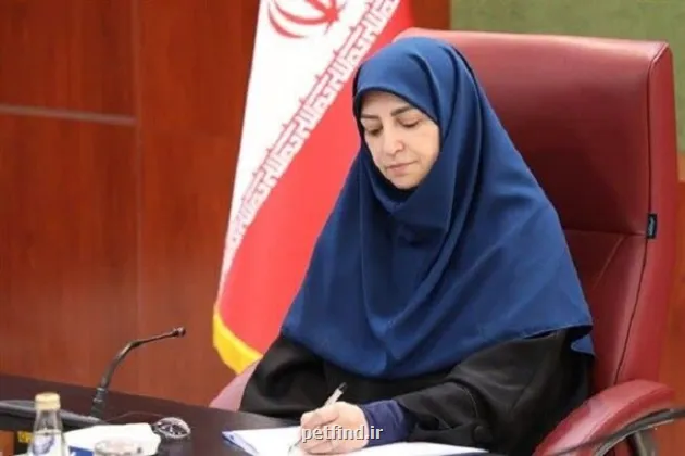 واکنش انصاری به مراسم ازدواج با لباس محیط بانی در حرم امام رضا (ع)