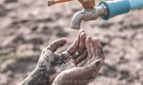 وقتی دولت در سیاست های صرفه جویی آب صادق نیست، مردم هم صرفه جویی نمی کنند