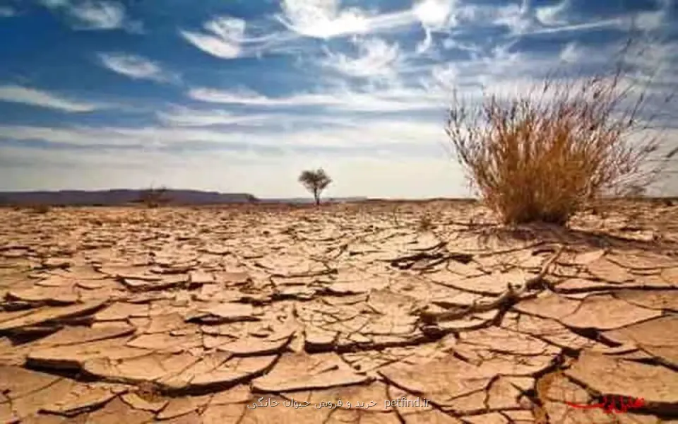 اخطار قرمز برای پایتخت