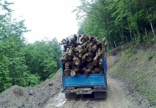 کشف ۱۳۲ تن چوب و زغال جنگلی در اصفهان ۴۸هکتار عرصه طبیعی رفع تصرف شد