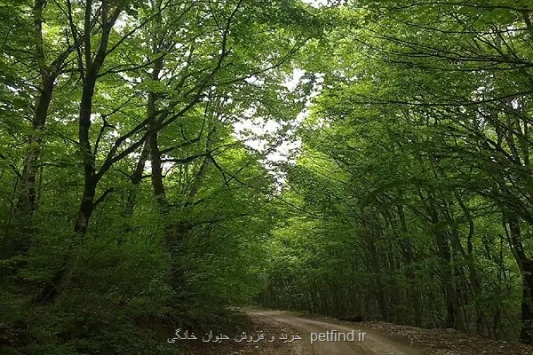 اخطار نسبت به حمل و نقل غیرقانونی جانوران وحشی در ناوگان عمومی