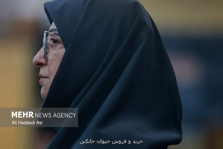 تاکید بر گسترش همکاریهای محیط زیستی با دستگاه قضا