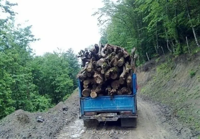 کشف ۱۳۲ تن چوب و زغال جنگلی در اصفهان ۴۸هکتار عرصه طبیعی رفع تصرف شد
