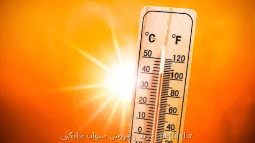 این استان در آستانه گرمای ۴۹ درجه