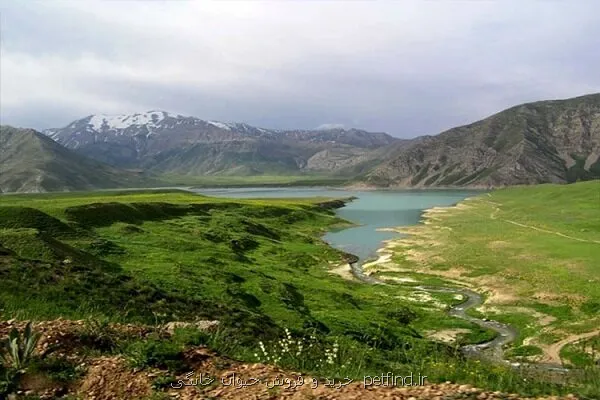 بازبینی طرح مدیریت پارک ملی لار در دستور کار قرار گرفت