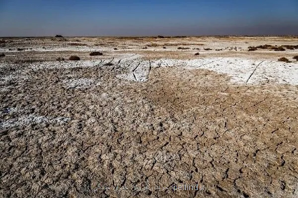 تالاب صالحیه در اولویت مهار گرد و غبار