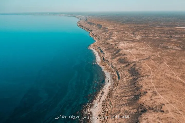 آینده دریای خزر به تصمیم های امروز کشورهای ساحلی وابسته است