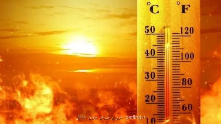 گرما دست از سر ایران برنمی دارد