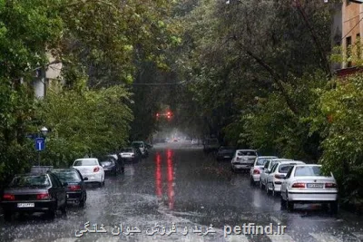 جدید ترین نقشه های هواشناسی برای این هفته