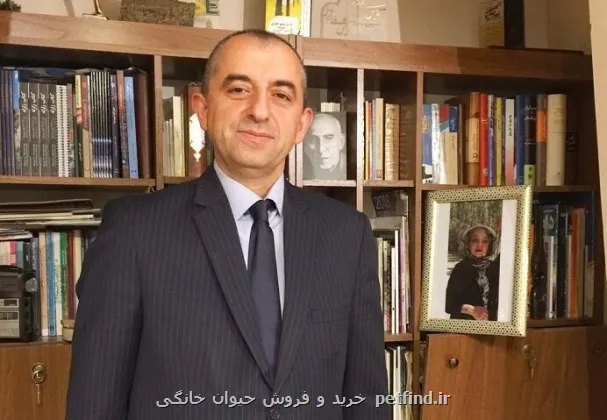 زلزله ۷ و شش دهم ریشتری بدون تلفات چرا زمین لرزه مهیب پاناما قربانی نگرفت؟
