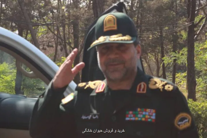 رویارویی با آتش سوزی در منابع طبیعی وارد فاز جدید شد