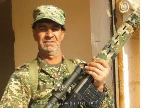 شهادت رئیس اداره محیط زیست بهاباد