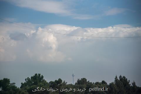 هوای پایتخت سالم شد