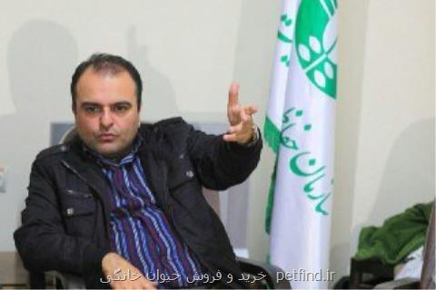 پنجاه شكارچی غیرمجاز توسط حفاظت محیط زیست قزوین دستگیر شدند