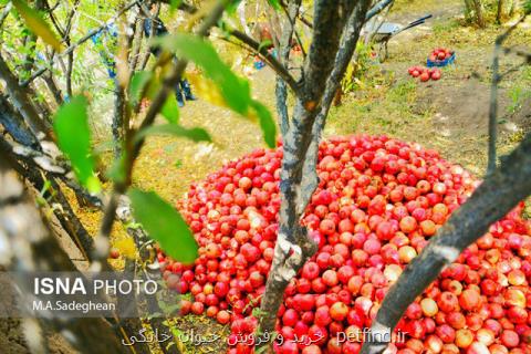 سفارش های سه روزه هواشناسی كشاورزی