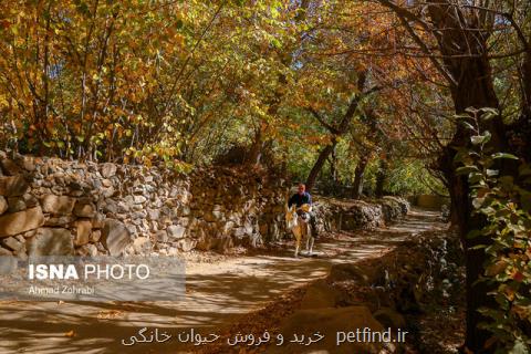 سفارش های هواشناسی