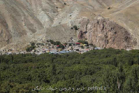 نفس های تهران به حفاظت از محیط زیست بند است بعلاوه فیلم