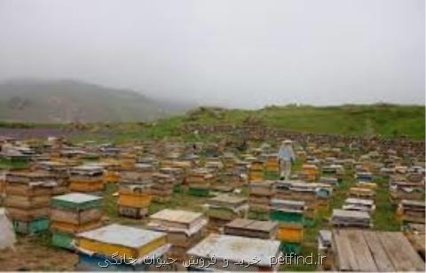 سفارش های ۶ روزه هواشناسی كشاورزی