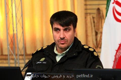 كشف سه هزار لاك پشت و مارآبی
