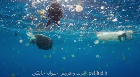 افزایش سه برابری نفوذ مواد پلاستیكی به دریا طی ۱۰ سال