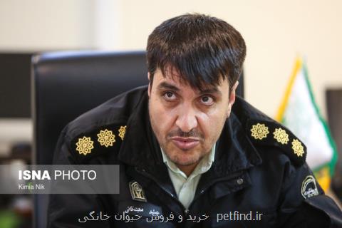 دستگیری ۳۰۸ متخلف محیط زیست در نوروز، افزایش ۱۷ درصدی آتش سوزی در تعطیلات سال نو