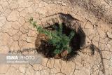 آخرین وضعیت اجرای طرح مقابله با ریزگردها در خوزستان