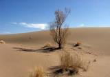 ۲۳۳ منطقه كشور در محدوده كانون های بحرانی و تحت تاثیر فرسایش بادی