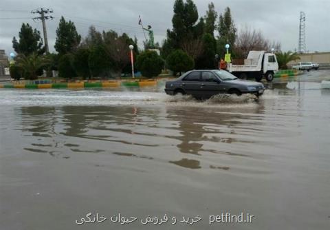 تخریب پوشش گیاهی از علل اصلی وقوع سیلاب