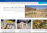 از دستگیری دلال با 200 سكه بهار آزادی در بازار تهران تا صحنه سازی بریده شدن گوش كودك كار