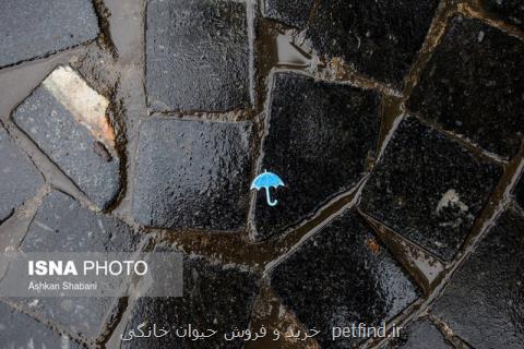 بارش باران در مناطق شمالی، وزش باد و گرد و خاك در شرق كشور