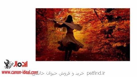 نمایندگی اصلی كانن