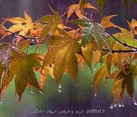 برف و باران در راه ایران