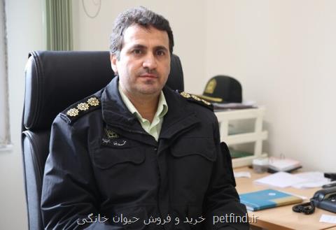 آگهی پلیس درباره سوء استفاده كلاهبرداران از دیوار و شیپور