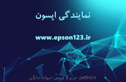تعمیرات اپسون در ایران